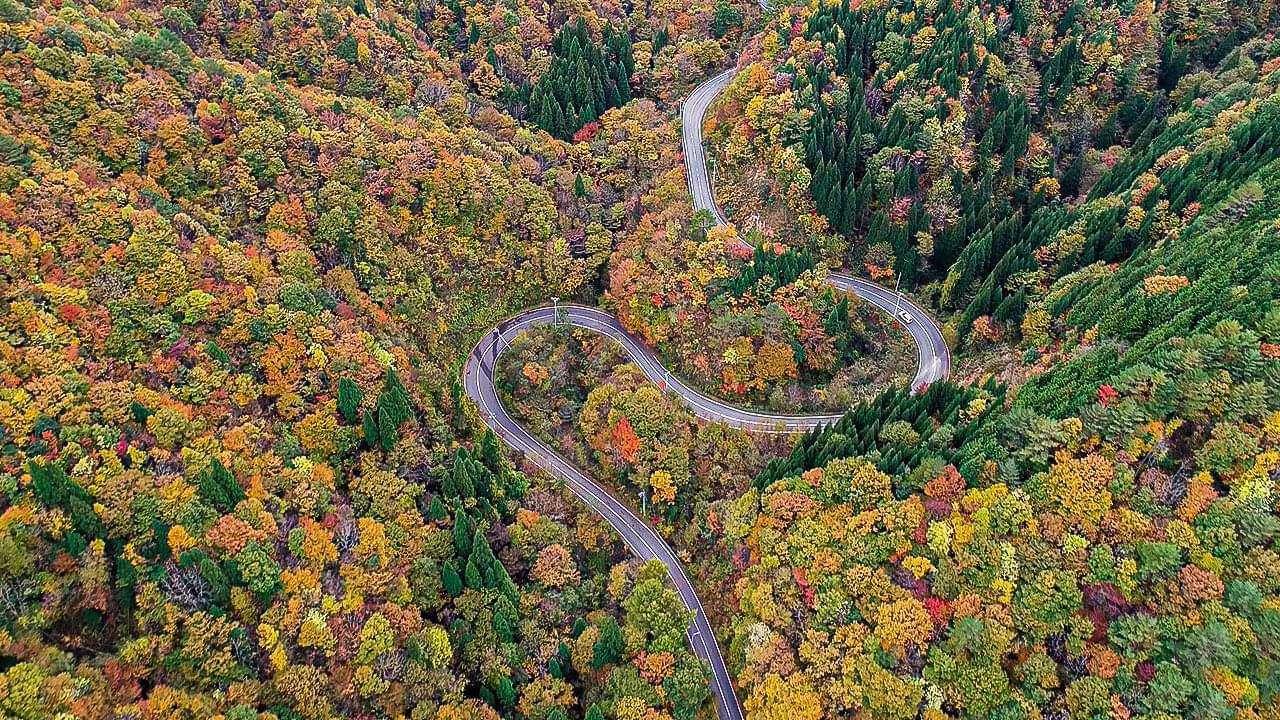 秋の紅葉恐羅漢上空写真（2019年9月～11月下旬）