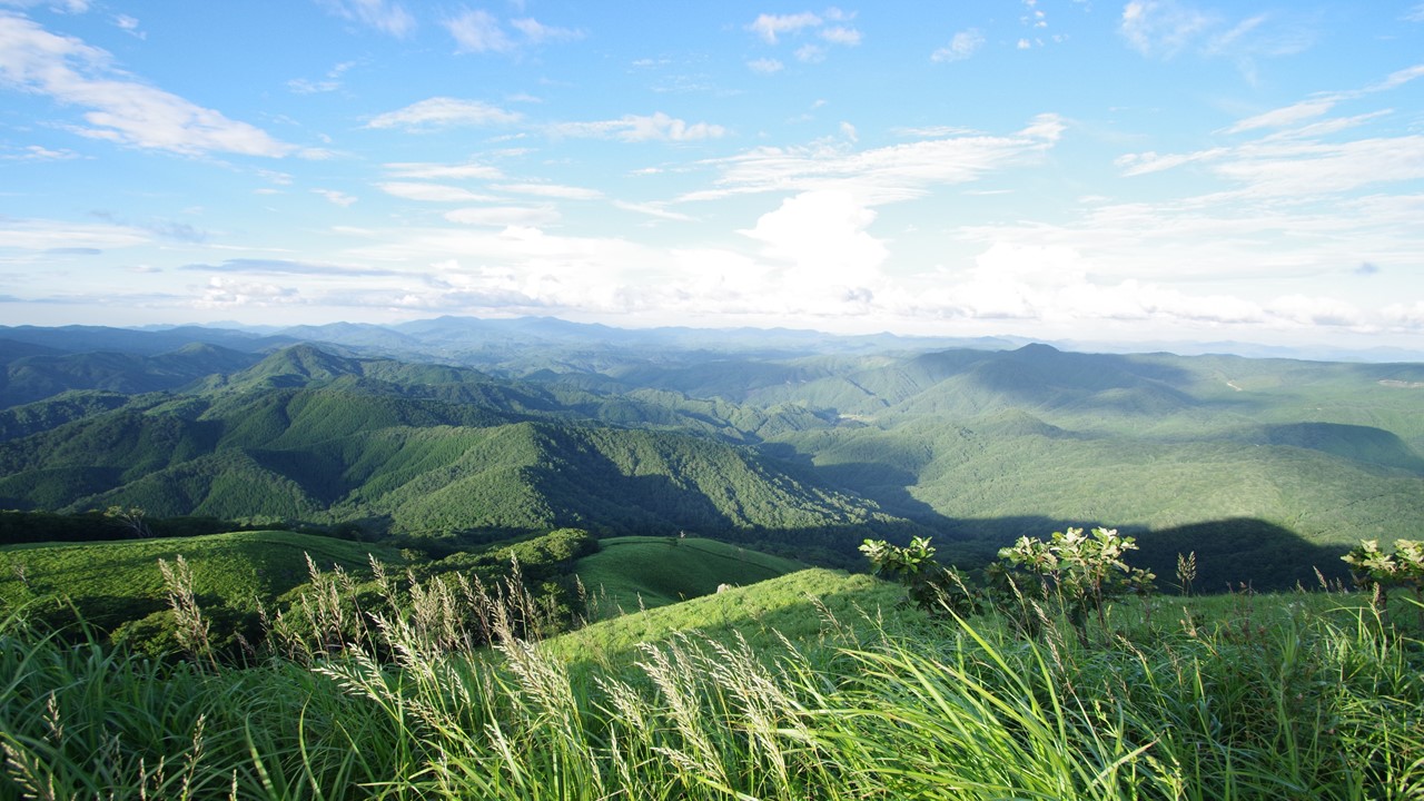 深入山 | あきおおたから