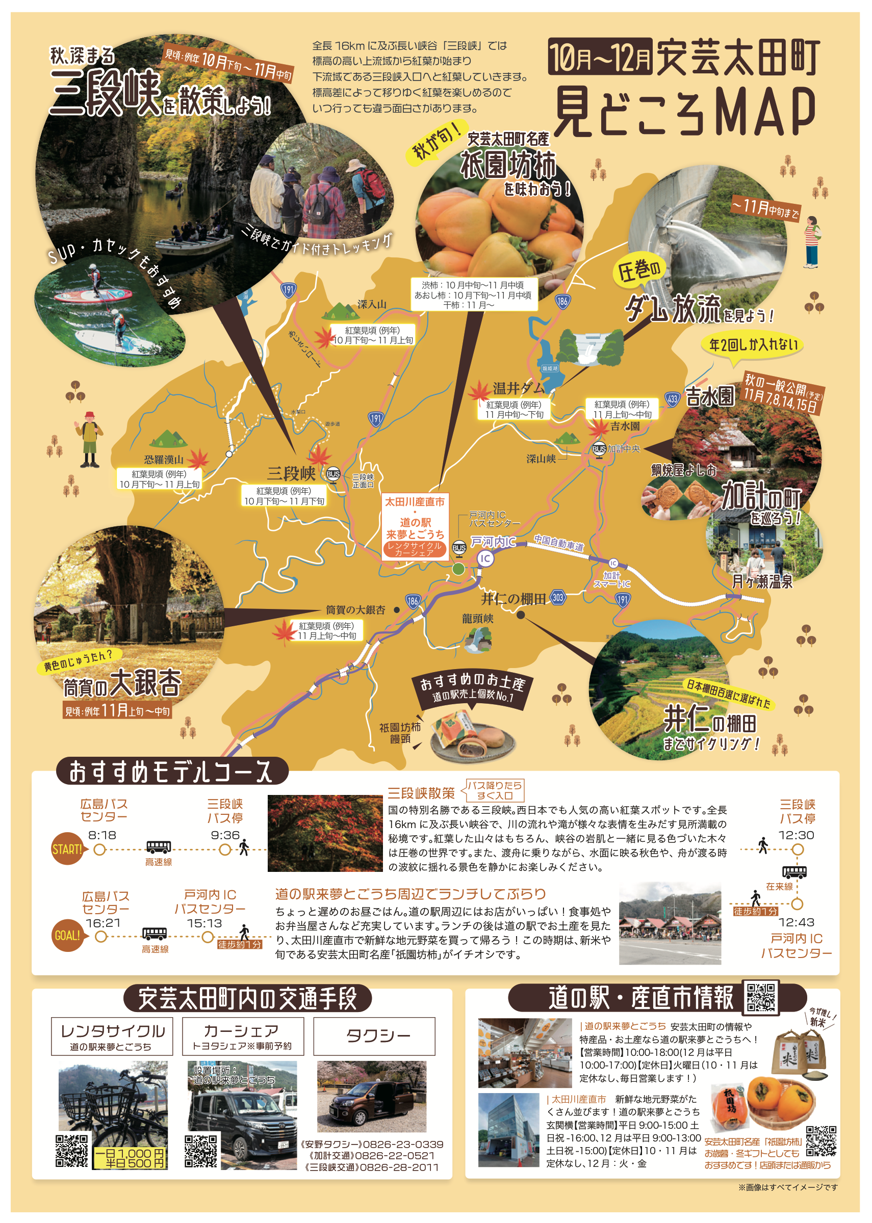 2026年秋の安芸太田町見どころマップと三段峡・道の駅を巡るモデルコースを掲載したチラシ裏面